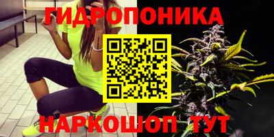 МДПВ Апшеронск