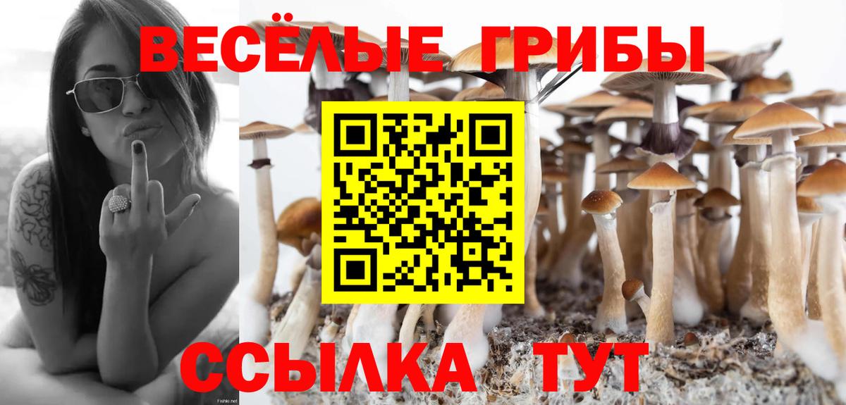 Галлюциногенные грибы Magic Shrooms  Вход с VPN  Псилоцибиновые грибы мицелий  Архангельск 