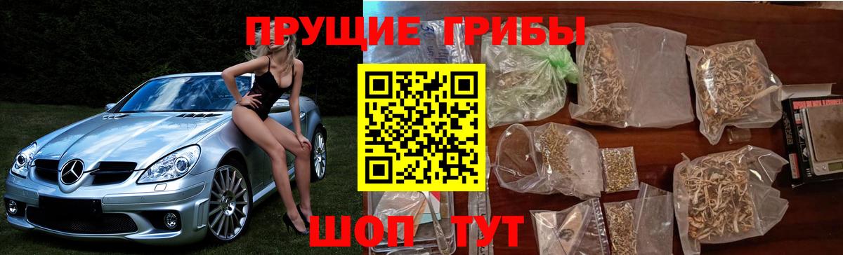Галлюциногенные грибы мухоморы Архангельск